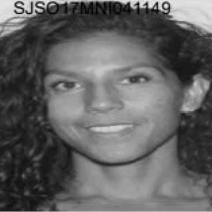 St. Augustine Woman Charged After Pickleball Paddle Attack